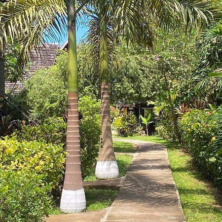 Secret Cabins At Firefly Beach Cottage Νεγκρίλ Εξωτερικό φωτογραφία