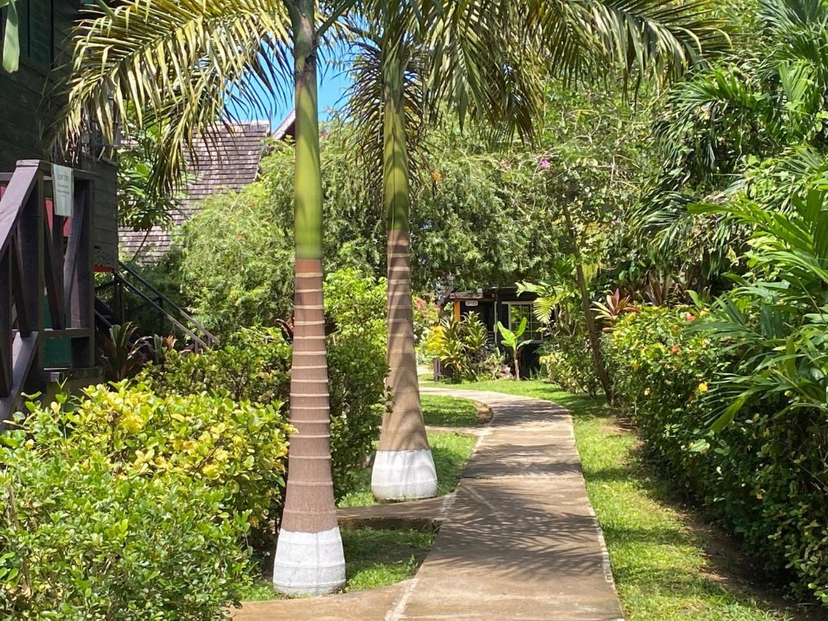 Secret Cabins At Firefly Beach Cottage Νεγκρίλ Εξωτερικό φωτογραφία
