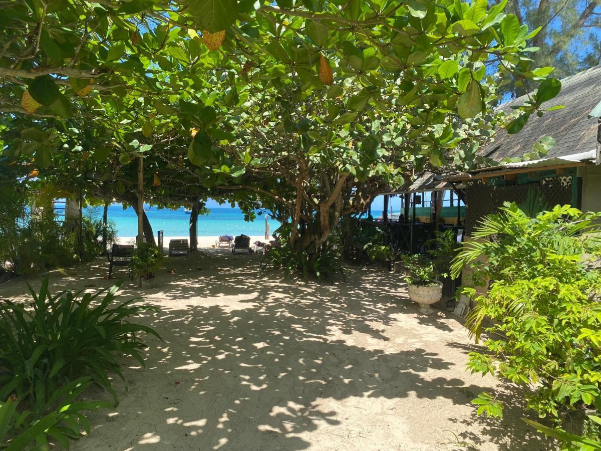 Secret Cabins At Firefly Beach Cottage Νεγκρίλ Εξωτερικό φωτογραφία